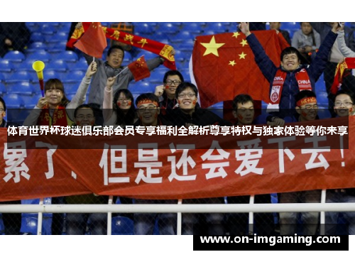 体育世界杯球迷俱乐部会员专享福利全解析尊享特权与独家体验等你来享