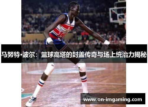 马努特·波尔：篮球高塔的封盖传奇与场上统治力揭秘