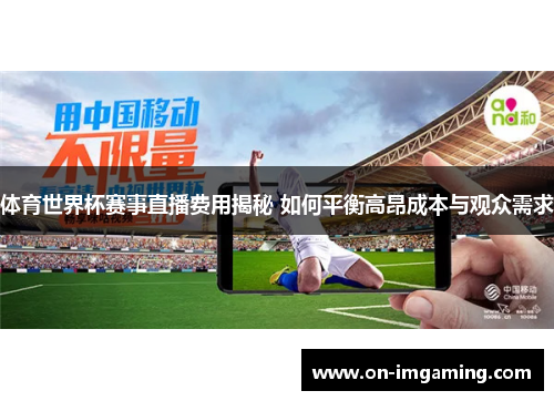 体育世界杯赛事直播费用揭秘 如何平衡高昂成本与观众需求