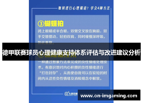 德甲联赛球员心理健康支持体系评估与改进建议分析