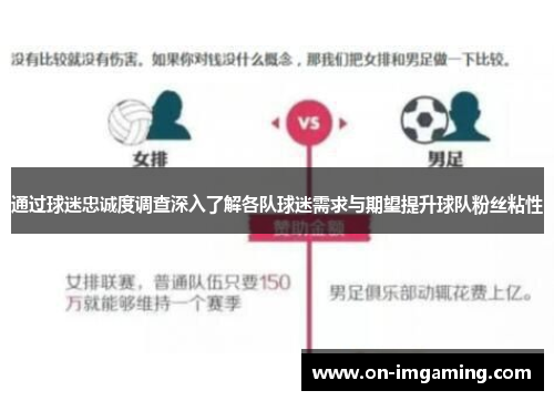 通过球迷忠诚度调查深入了解各队球迷需求与期望提升球队粉丝粘性