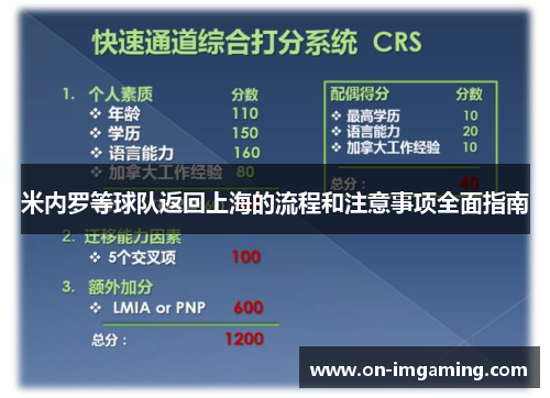 米内罗等球队返回上海的流程和注意事项全面指南
